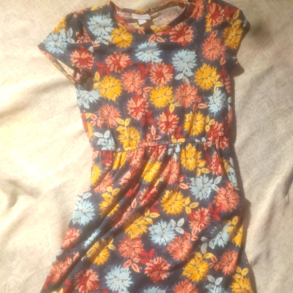 Girls LulaRoe dress